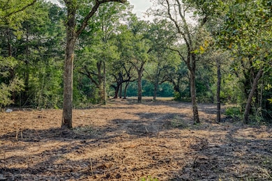 Tract 4 Sun Oil Rd, Brenham, TX 77833 - photo 3