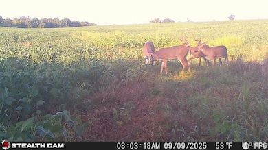 14.8 ac 6120 Kk Rd, Waterloo, IL 62298 - photo 2