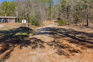 TBD Bear Hollow Rd, Fort Smith, AR 72916 - photo 3