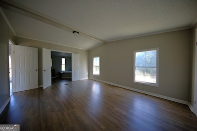 4702 Georgia 65, Pelham, GA 31779 - photo 3