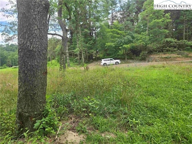 867 New River Bend Rd S, Fleetwood, NC 28626 - photo 5