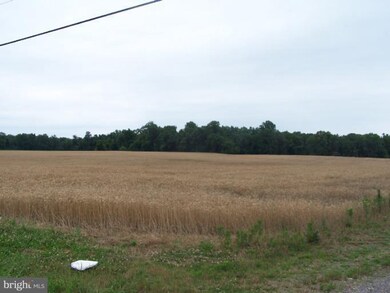 148 Ocean Gateway Hwy, Queenstown, MD 21658 - photo 4