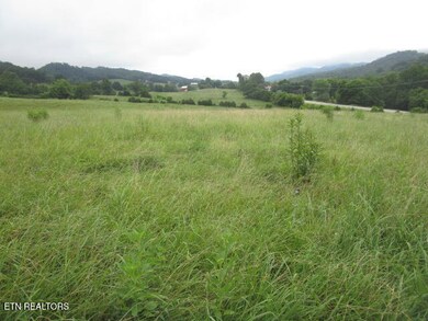 2783 Rutledge Pike, Blaine, TN 37709 - photo 5