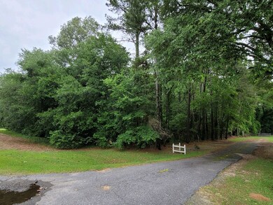 1415 Broach Ave, Putney, GA 31705 - photo 4