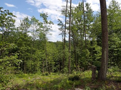 0 Denio Rd, Barnet, VT 05819 - photo 4