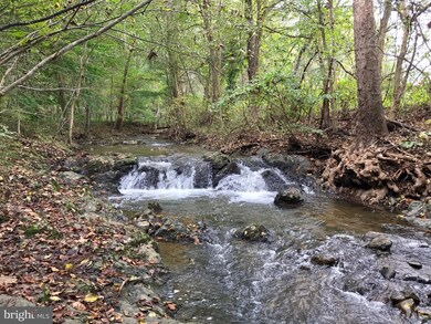 0 Whitney Ln unit VAWR2006542, Bentonville, VA 22610 - photo 2