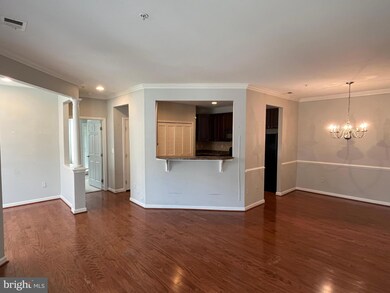 5307 Wyndholme Cir unit 101, Baltimore, MD 21229 - photo 5
