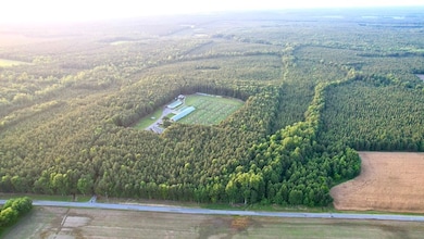 19003 Comans Well Rd, Yale, VA 23897 - photo 3