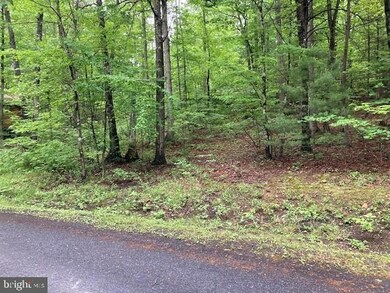 0 Susan Rd unit VASH2003412, Basye, VA 22810 - photo 4