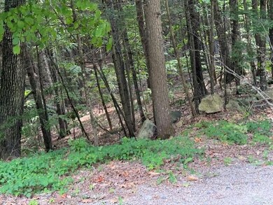 0 Edge Hill Rd, Lake Arrowhead, ME 04048 - photo 3