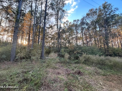 4024 Old Mill Rd, Osyka, MS 39657 - photo 7