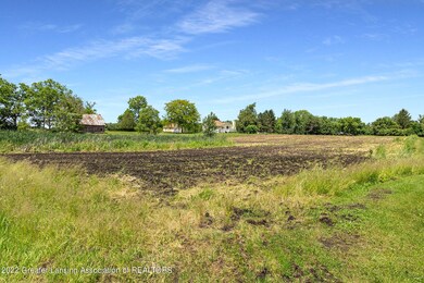 IMG_4728