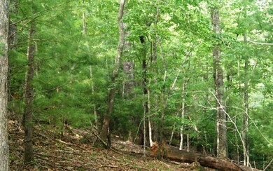 0 Turkey Trot Rd unit 290343, Morganton, GA 30560 - photo 4