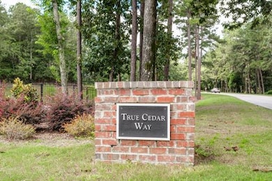437 True Cedar Way, Aiken, SC 29803 - photo 4