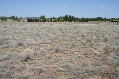25355 N Patricia Rd unit none, Paulden, AZ 86334 - photo 5