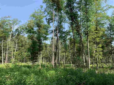 Lot 3 TBD Cherry Hill Rd, Stone Ridge, NY 12484 - photo 6