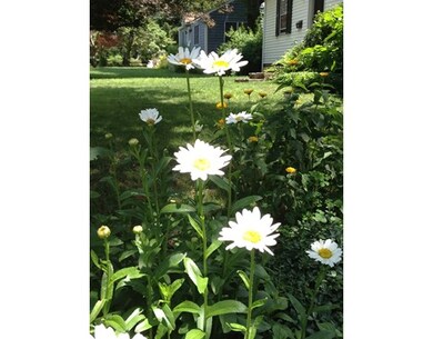 97 Maple St, Lexington, MA 02420 - photo 6