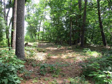 1 Mountain Rd, Nottingham, NH 03290 - photo 3