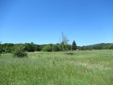 Development Chapel Hill Dr unit All Avail HOA Lots, Bear Creek Township, MI 49770 - photo 2