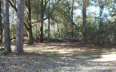 3964 276 Th Terrace, Branford, FL 32008 - photo 4