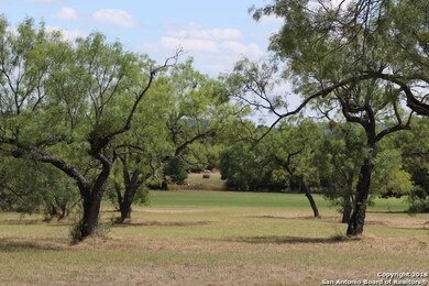 L1-2 Old Vine, Fredericksburg, TX 78624 - photo 4