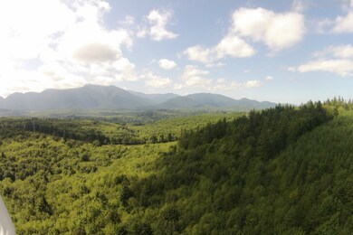 0 Center Rd unit 832903, Quilcene, WA 98376 - photo 6