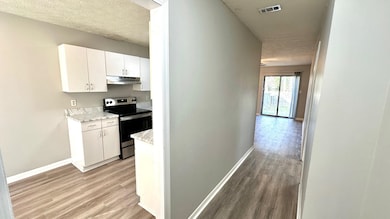 2938 Greenon Ln, Tallahassee, FL 32304 - photo 3