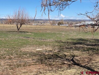 11816 Highway 491, Cortez, CO 81321 - photo 5