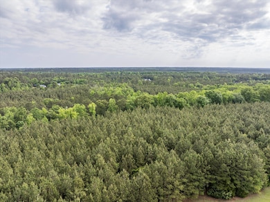 5750 Cobbham Rd, Appling, GA 30802 - photo 5