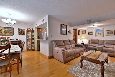 9176 South Rd unit 1B, Palos Hills, IL 60465 - photo 7