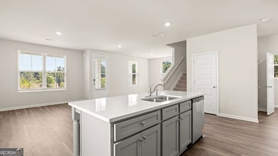 Huge Island with Quartz Counter Top.