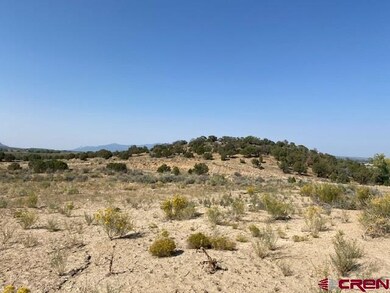 TBD U S 160, Cortez, CO 81321 - photo 2