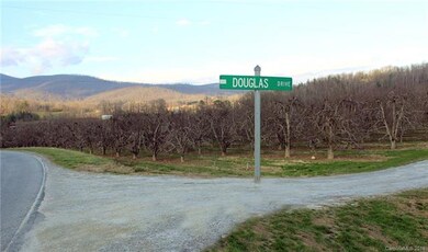 Property starts at Douglas Drive
