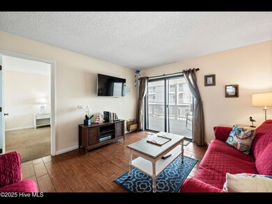 mls-CAT_8841