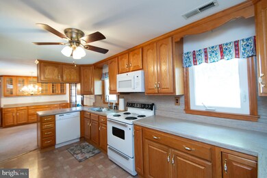 2 Oriole Dr, Cambridge, MD 21613 - photo 4