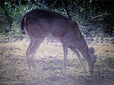 240 Sheppard Rd, Venus, FL 33960 - photo 6