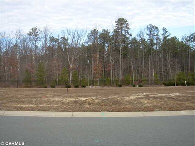 Exterior Back - Back yard view (Short Pump Park is