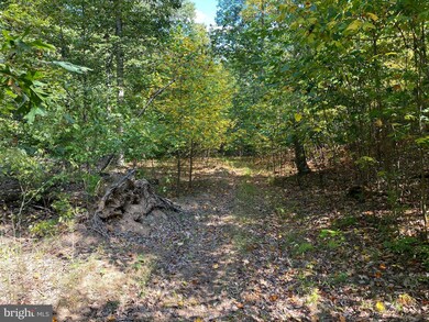 Lot 15 Jermikey Ct, Hedgesville, WV 25427 - photo 5