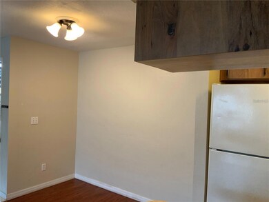 233 Red Maple Place unit 233, Brandon, FL 33510 - photo 5