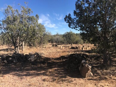 9605 W Big Moon Ln, Ash Fork, AZ 86320 - photo 5