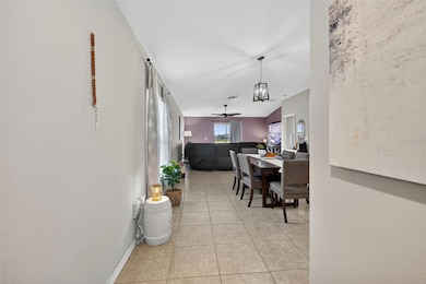 9645 Lemon Drop Loop, Sun City Center, FL 33573 - photo 7