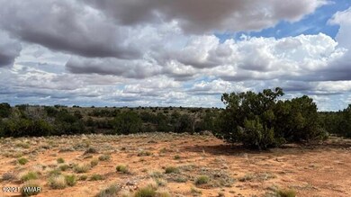 IMG_9874 (1)