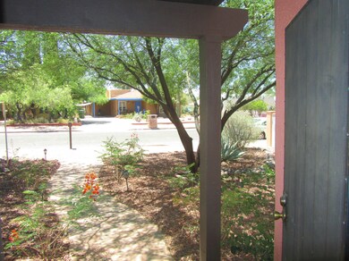 Front Door/Front Yard