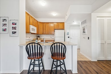 2335 W Belle Plaine Ave unit 211, Chicago, IL 60618 - photo 6