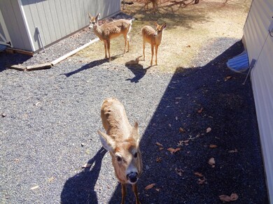 3118 Chippewa Trail, Albrightsville, PA 18210 - photo 5