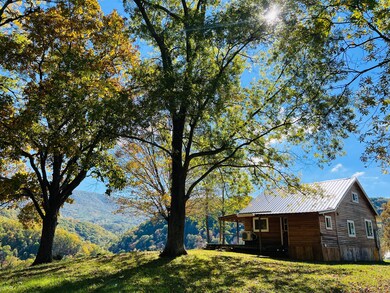 823 Pete Amos Rd, Lindside, WV 24951 - photo 4