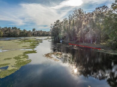 85 Saint Marks Rise Rd, Crawfordville, FL 32327 - photo 5