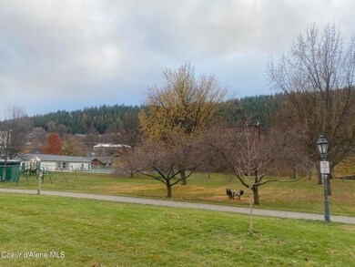 IMG_8950