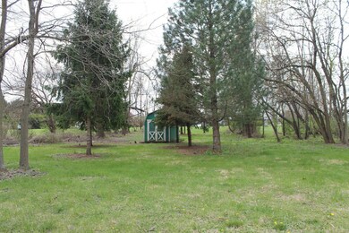 Storage shed and lots of trees