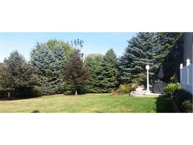 Backyard Patio